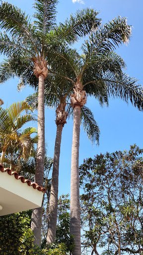 casa-de-repouso-casa-vita-cidade-sao-francisco-sao-paulo-fachada.jpg