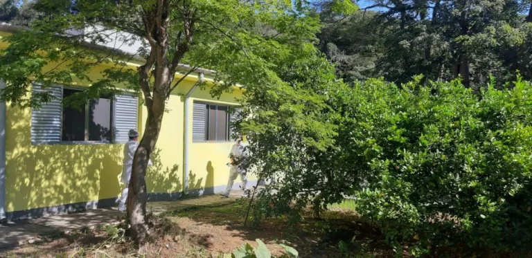 Area Arborizada na Horto Florestal 768x373