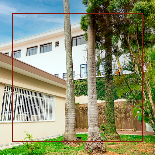 Jardim externo arborizado na Vera Senior Casa de Repouso com palmeiras de troncos altos sobre um gramado verde. Ao fundo, vê-se a parede lateral da instituição com janelas e uma cerca de segurança